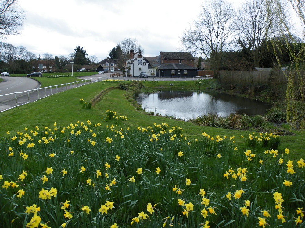 Consultation for the Neighbourhood Plan