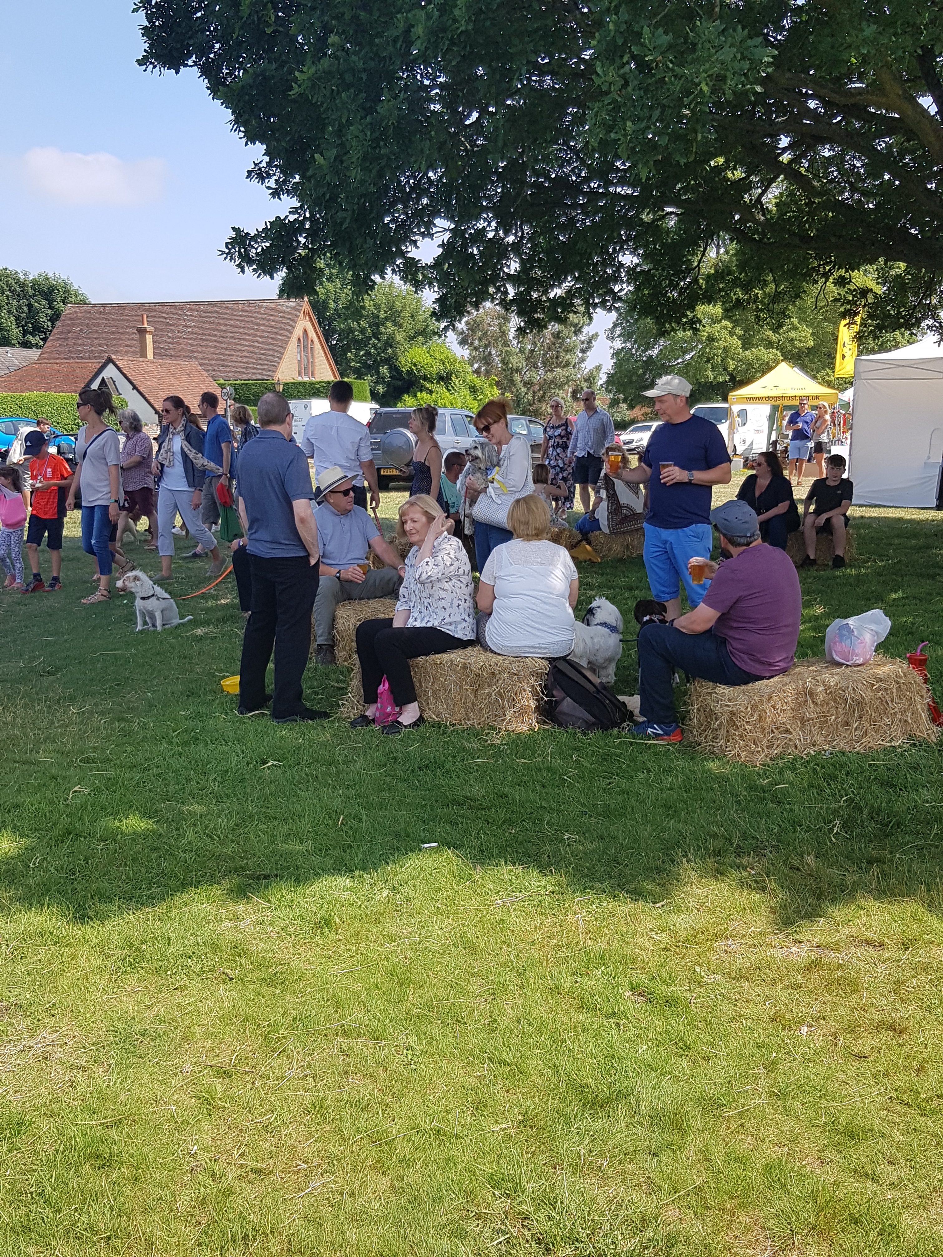 A SCCF summer village day 2018