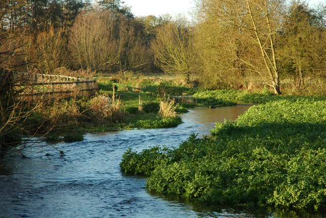 River Chess pollution Solution!