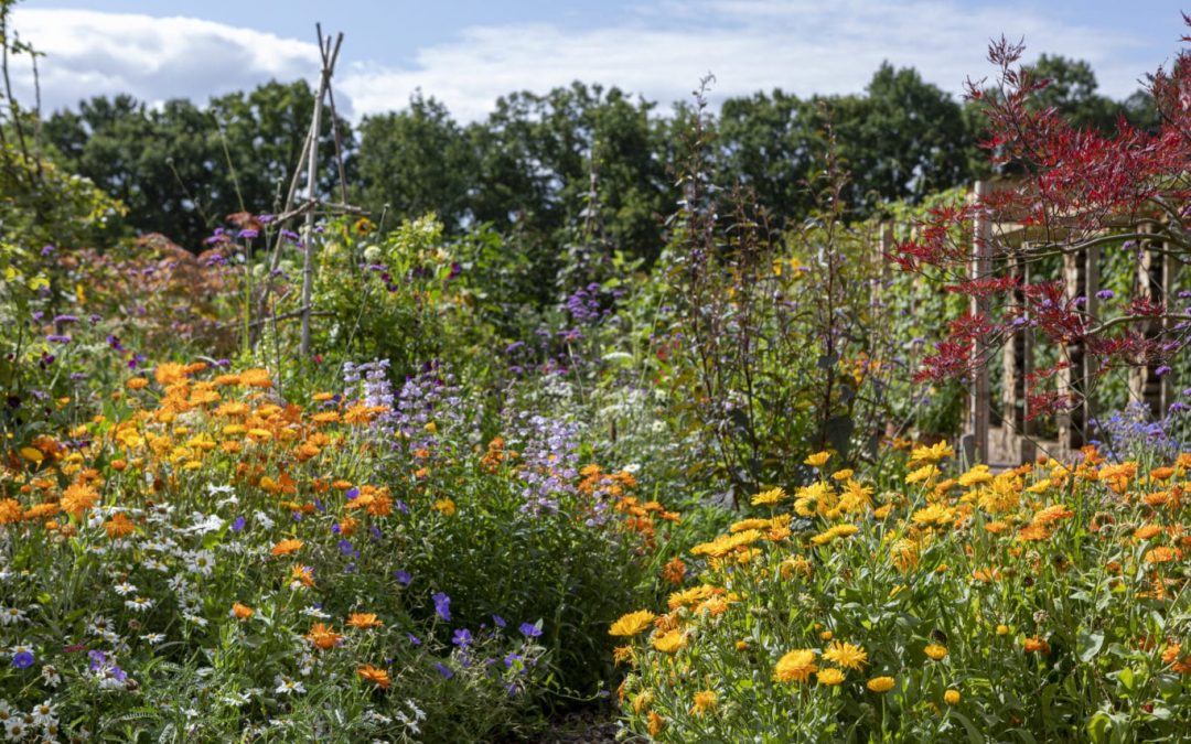 ALLOTMENTS AVAILABLE!