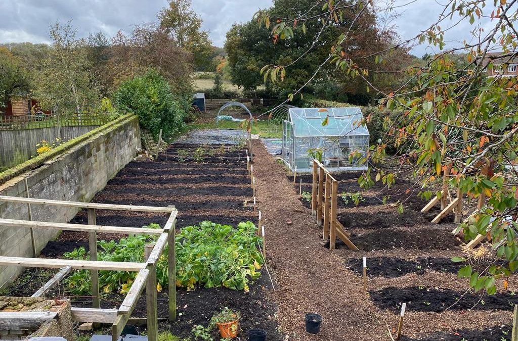 The Community Garden Project