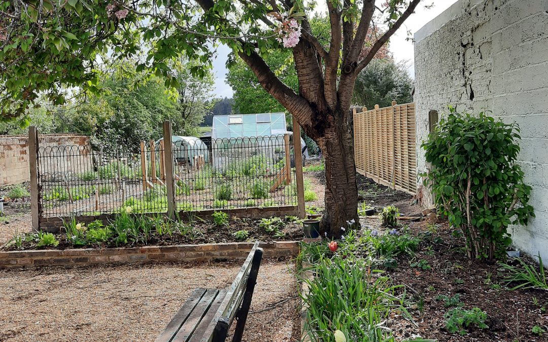 New Community Garden – Open morning