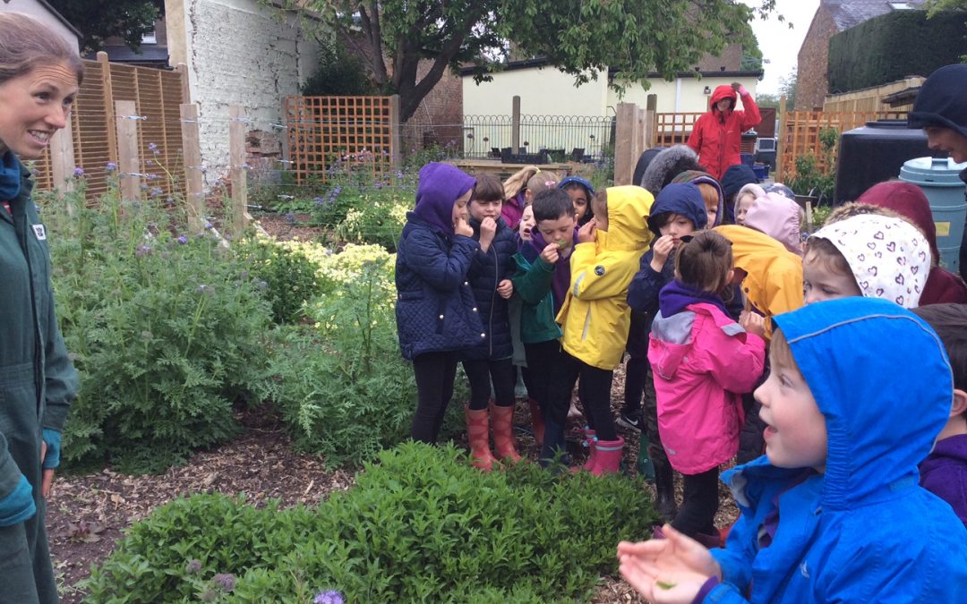 Community garden welcomes local school children