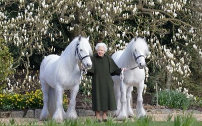 Her Majesty Queen Elizabeth ll has died