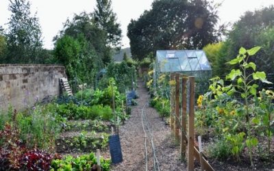 Community Garden