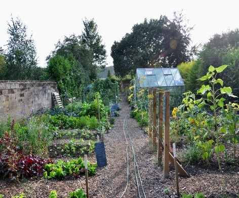 Spring Community Garden update