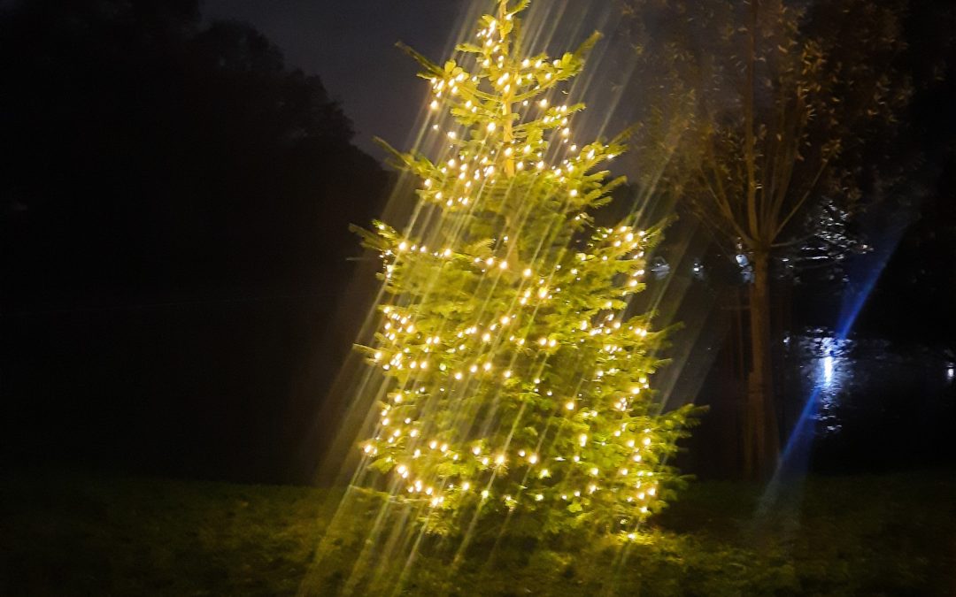 Christmas Tree Festival at Holy Cross